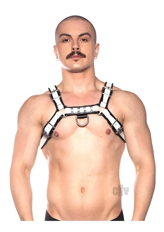 Prowler Red Bull Harness Bk/wht Xl