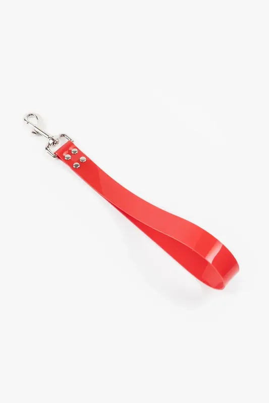PVC Leine- super kurz