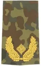 Rangschlaufen (Heer) Bw flecktarn ‘Brigade-General‘