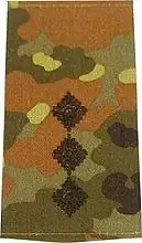 Rangschlaufen (Heer) Bw flecktarn ‘Hauptmann‘