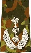 Rangschlaufen (Heer) Bw flecktarn ‘Oberst‘