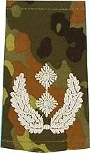 Rangschlaufen (Heer) Bw flecktarn ‘Oberstleutnant‘