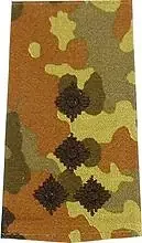 Rangschlaufen (Heer) Bw flecktarn ‘Stabshauptmann‘