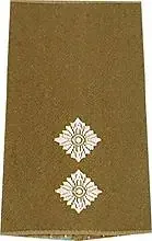 Rangschlaufen (Heer) Bw oliv ‘Oberleutnant‘