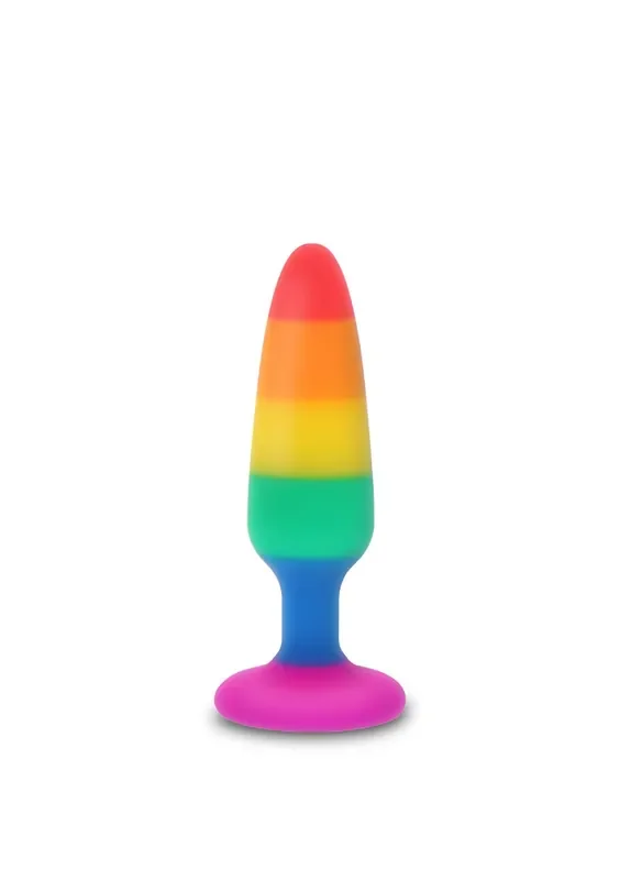 Regenbogen Analplug – Medium