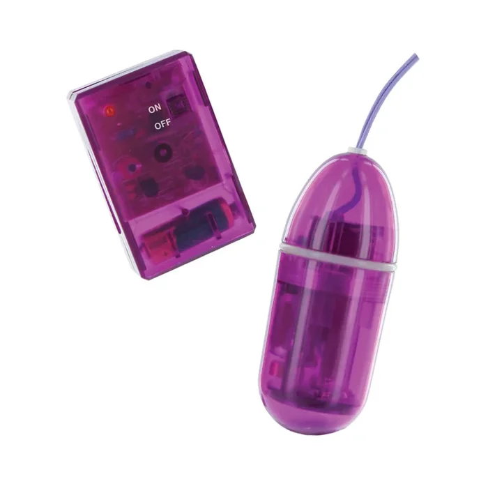 Remote Control Waterproof Bullet 3.25 Inch – Purple