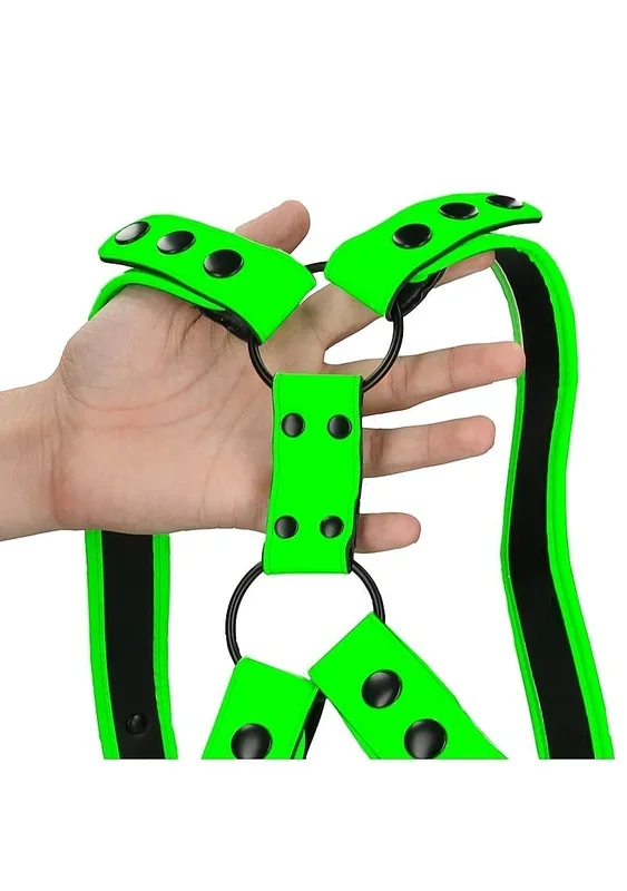 Riemengeschirr