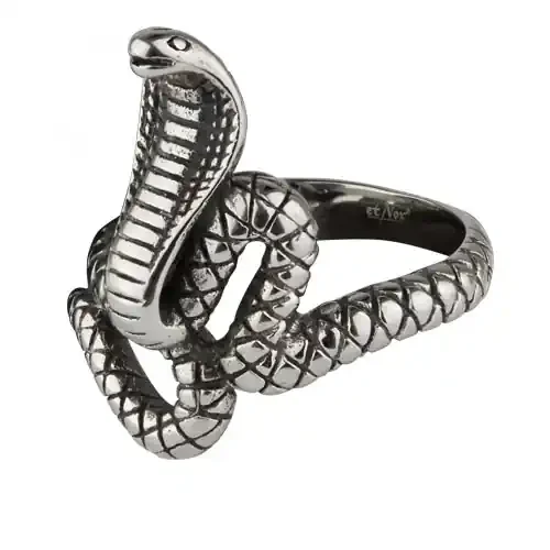 Ring ‘Kobra‘ Edelstahl