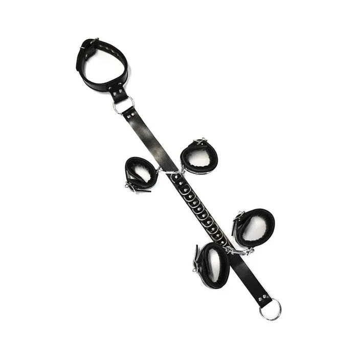 Rouge D Ring Hogtie Black/red