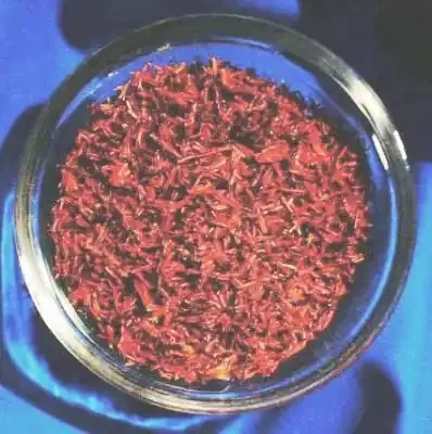 Safran (Stigma Croci)