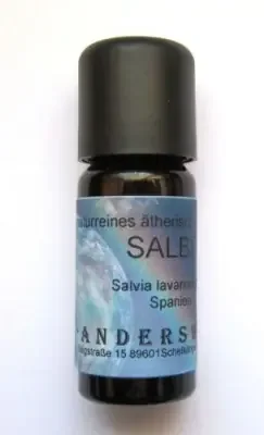Salbei (Salvia lavandulifolia) Fläschchen 10 ml