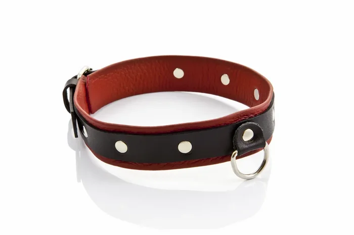 Schwarz-Rotes Halsband