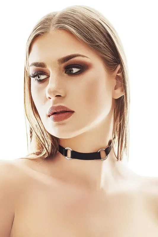 schwarzes Halsband mit zwei silbernen Metallringen