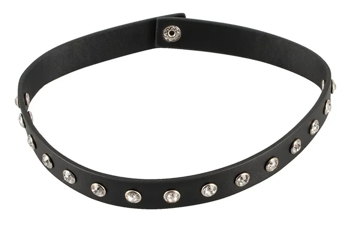 Schwarzes Lederimitat-Halsband