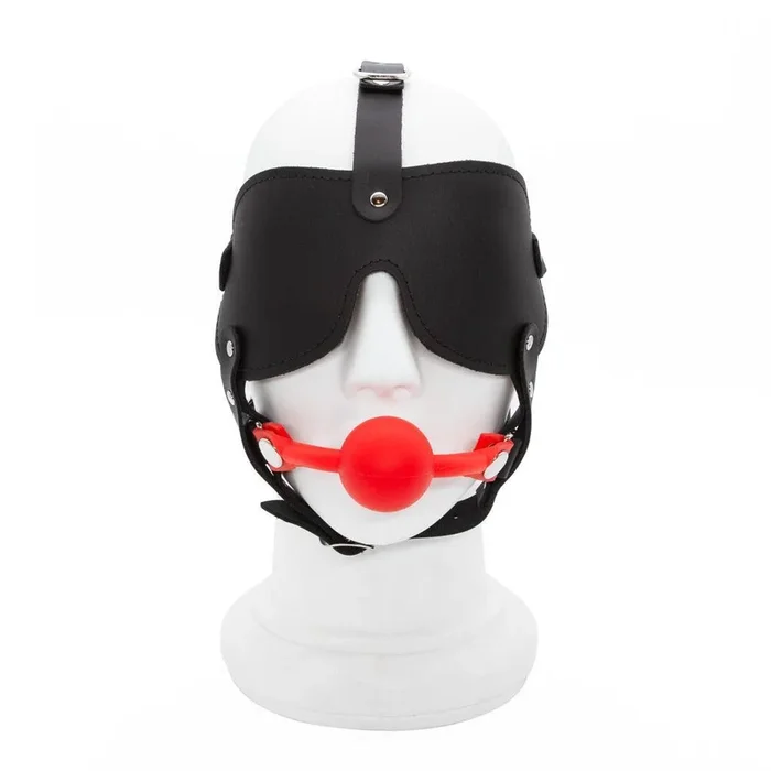 Silicone Ball Gag and Blindfold Head Harness