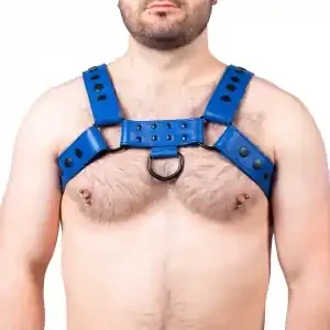 Snap Ledergeschirr Blau
