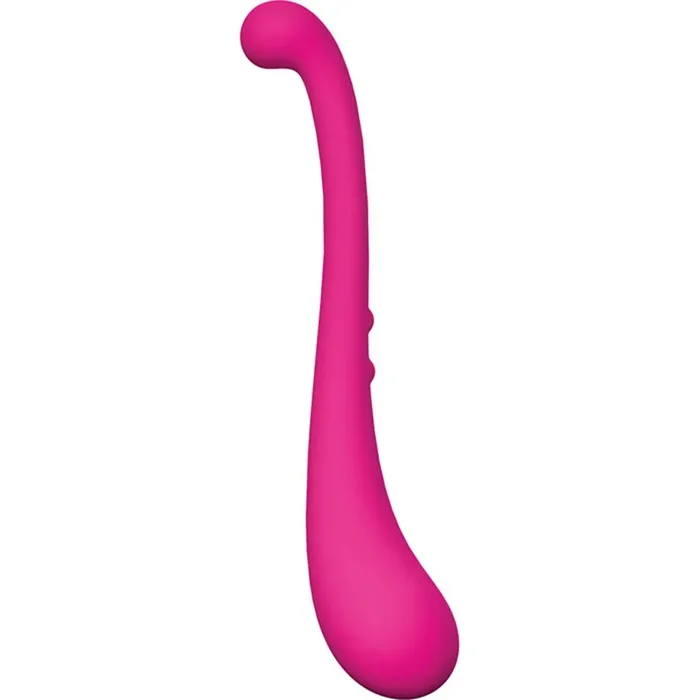 Trumpeter Swan – Vibrator