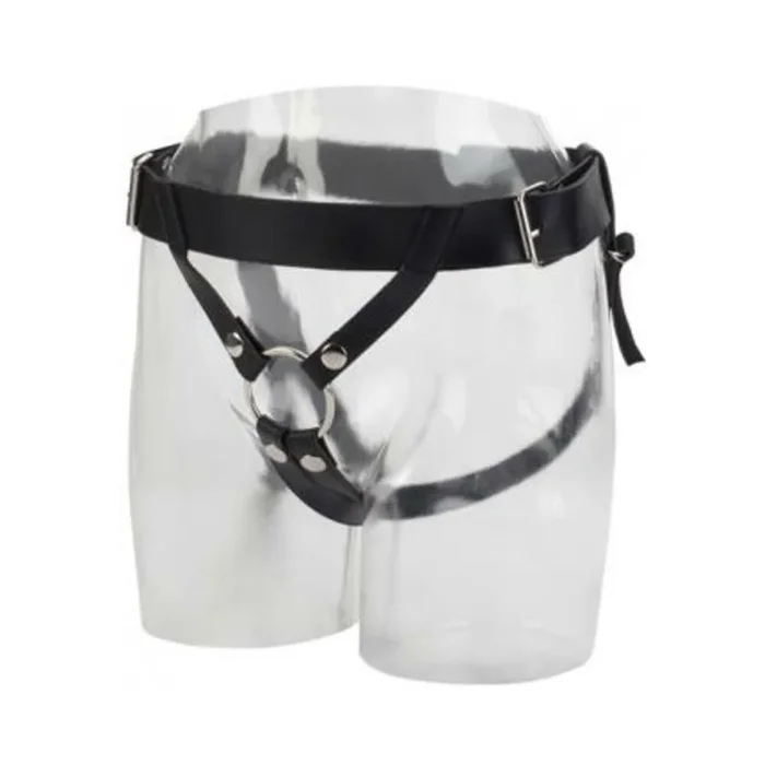 Universal Love Rider Premium Ring Harness