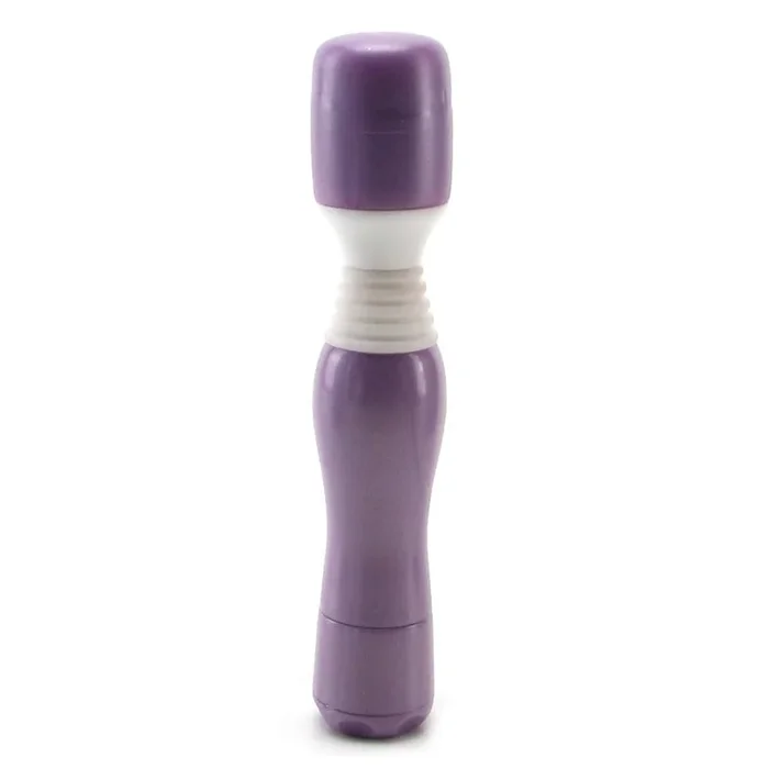 Wanachi Mini Mini Massager in Purple