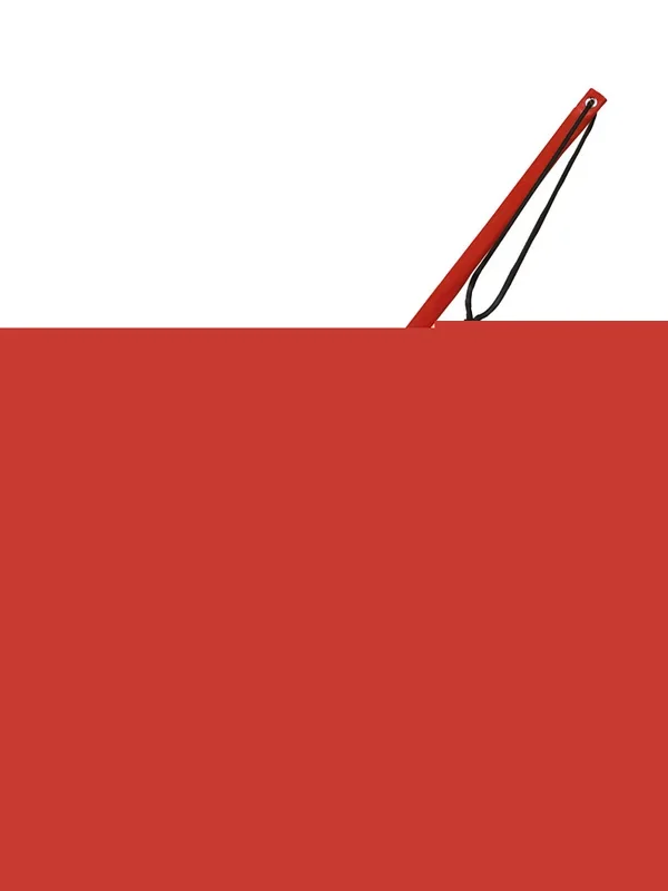 Xx-DreamsToys: Flexibler Rohrstock, rot